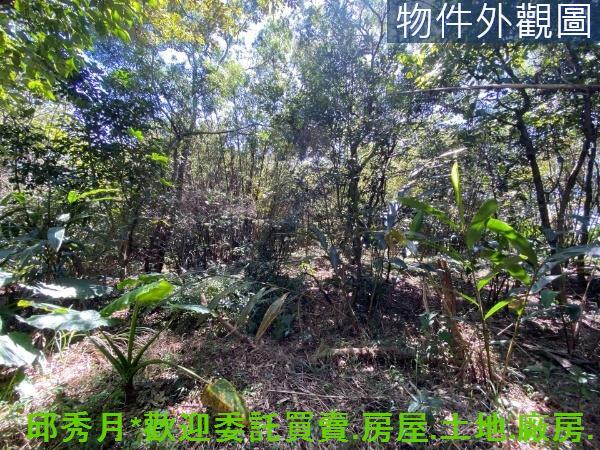 新北淡水農地-7