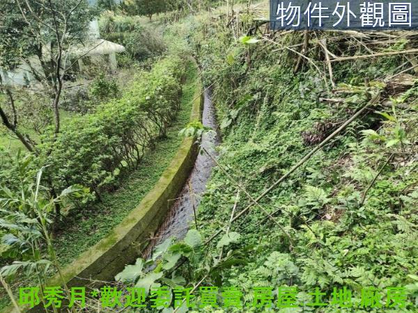 淡水農地-0