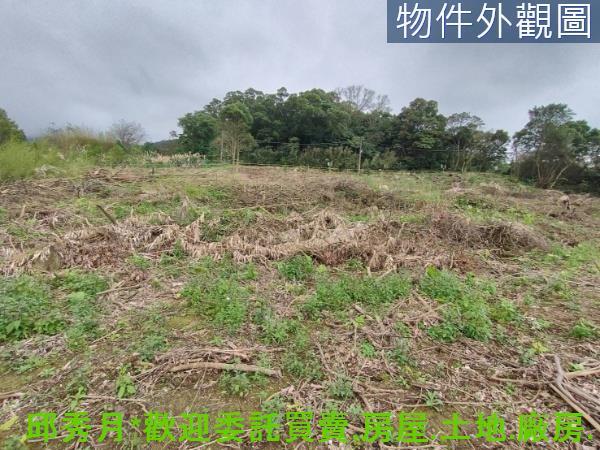 淡水農地-1