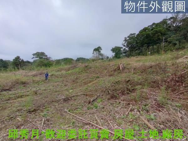 淡水農地-2