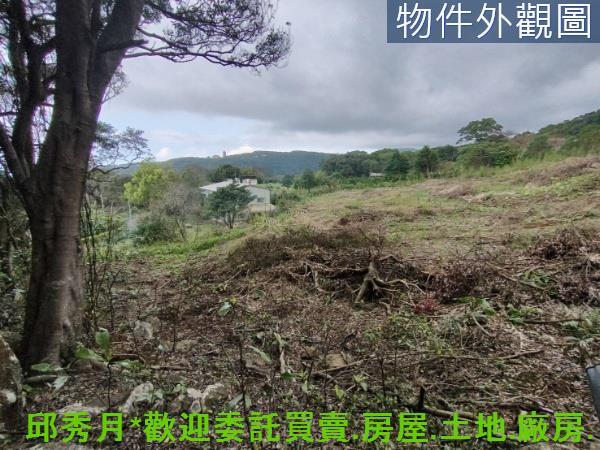 淡水農地-5