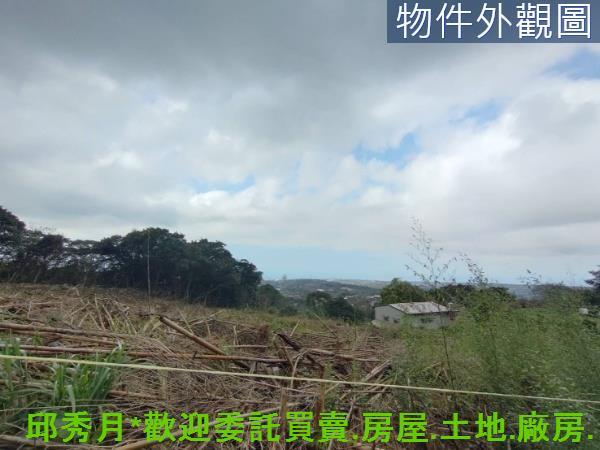 淡水農地-0