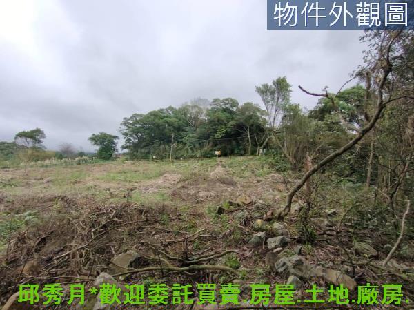 淡水農地-1