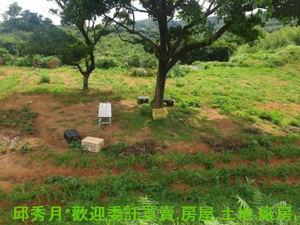 新北石門農地-2