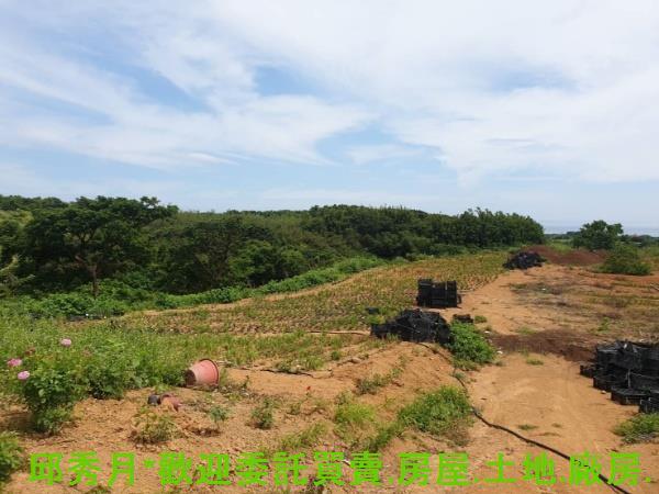 新北石門農地-4