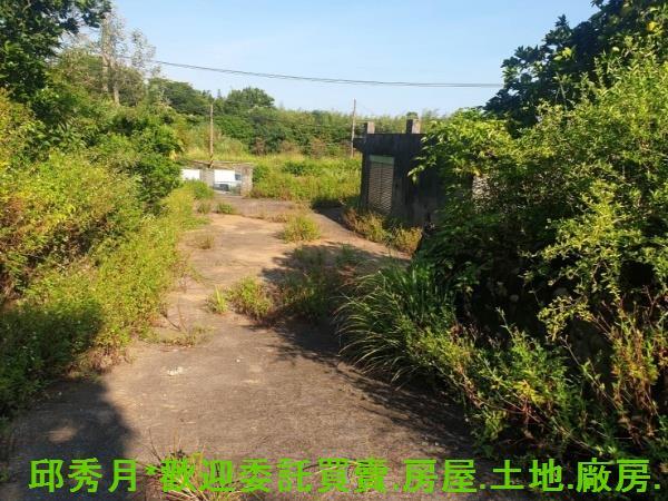 新北石門農地-3