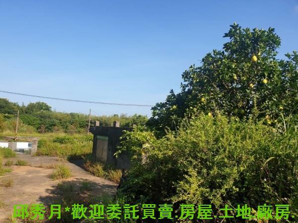 新北石門農地-4
