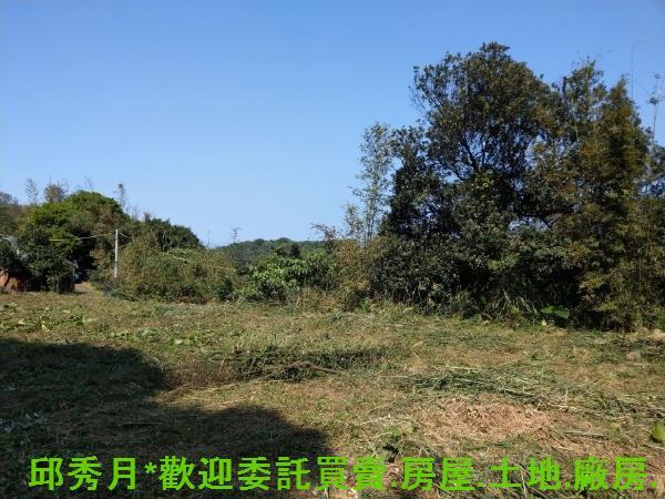 石門農地-0