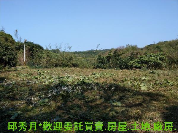 石門農地-1