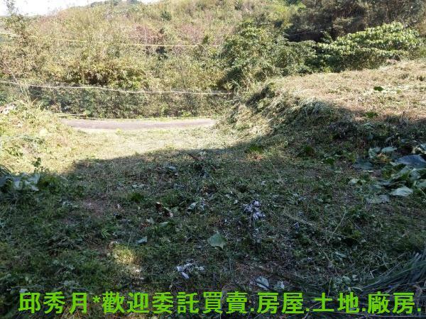 石門農地-3