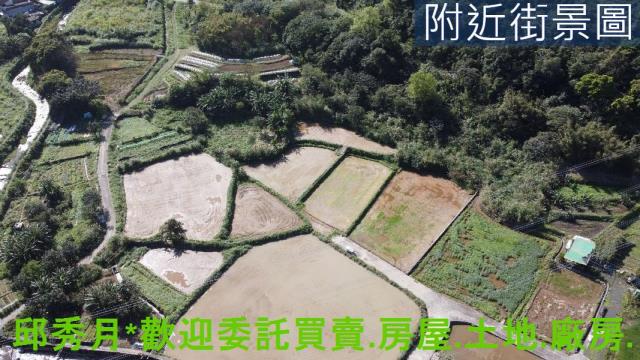 金山農地-2