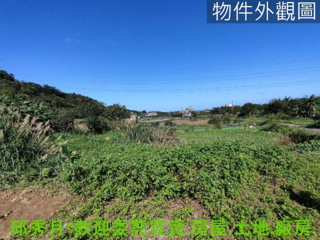 金山農地-3