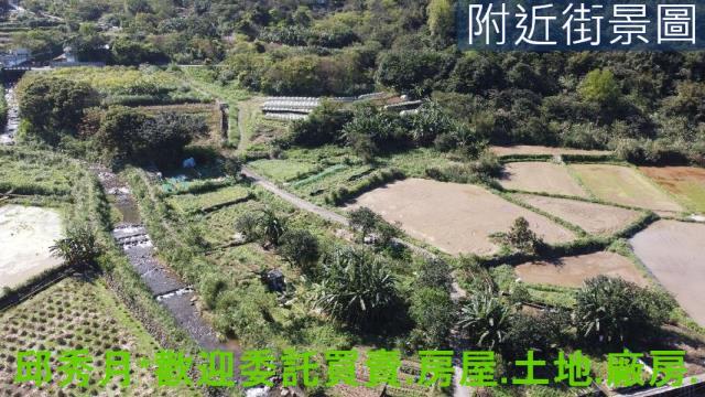 金山農地-4