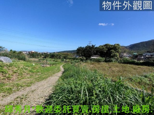 金山農地-5