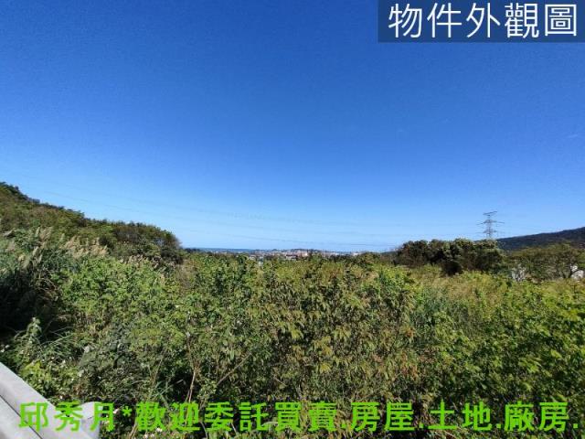 金山農地-6