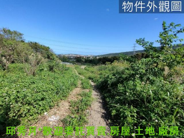 金山農地-7
