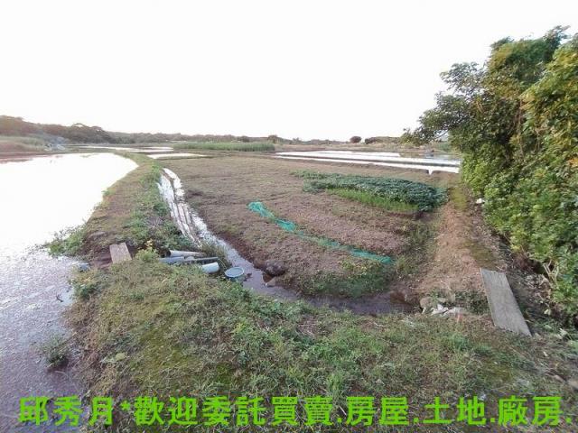 新北農地-1
