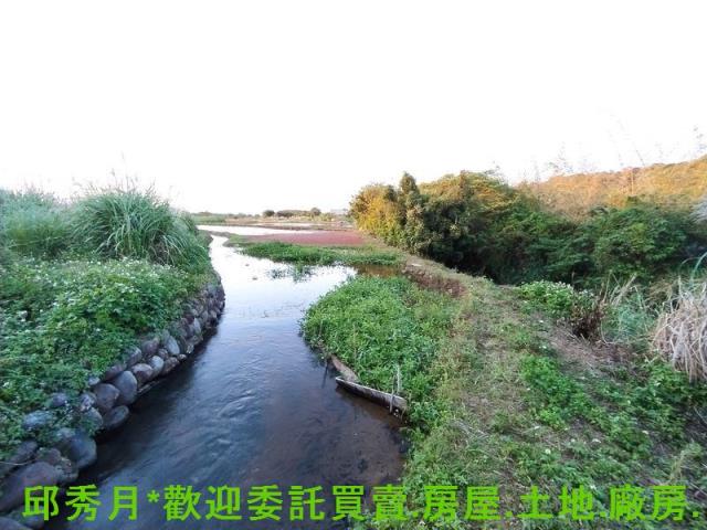 新北農地-2