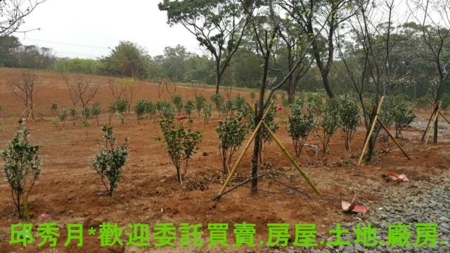 新北三芝農地-2