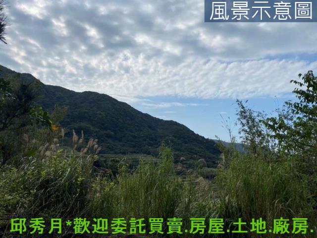 新北石門農地-3