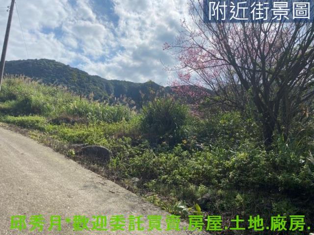 新北石門農地-5