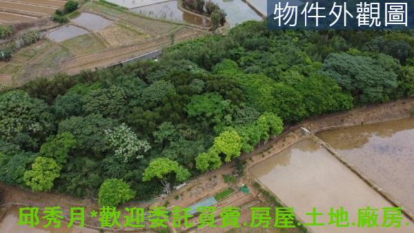 三芝都市計畫內-2