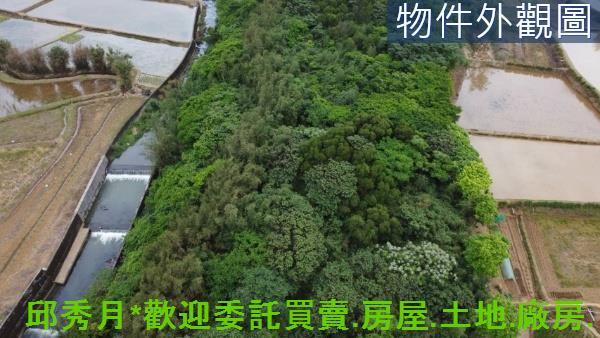 三芝都市計畫內-3
