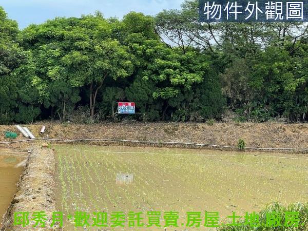 三芝都市計畫內-5