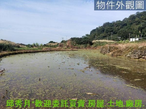 三芝農地-0