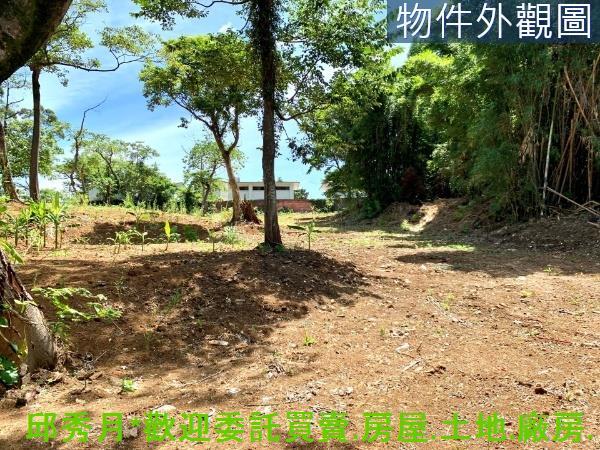三芝農地-2