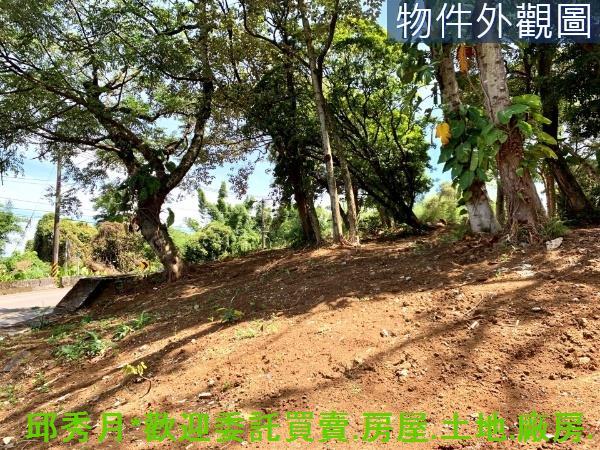 三芝農地-3