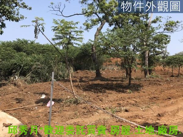 新北淡水農地-2