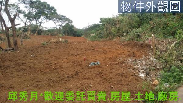 新北淡水農地-3