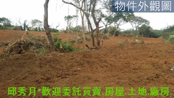 新北淡水農地-4
