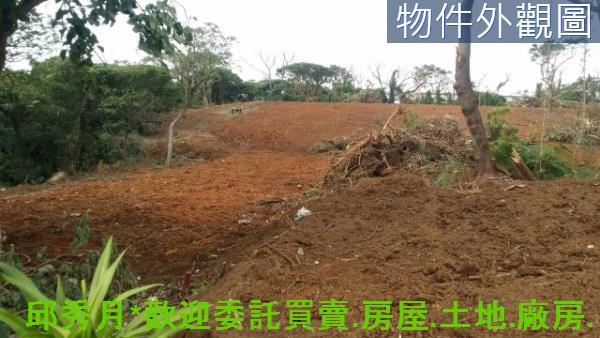 新北淡水農地-6