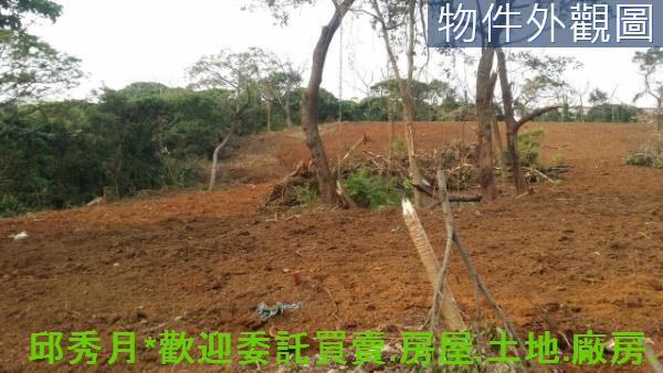 新北淡水農地-7