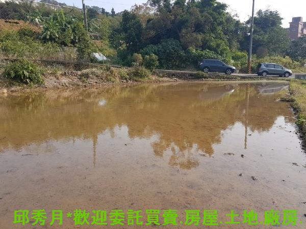 新北淡水農地-3