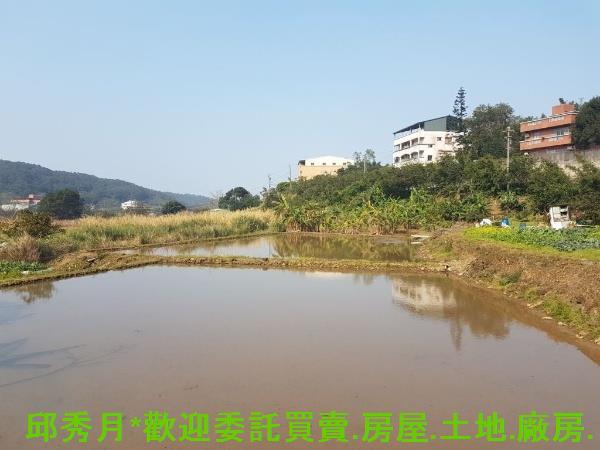 新北淡水農地-4