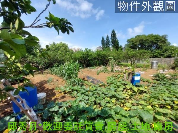 新北淡水二期二-2