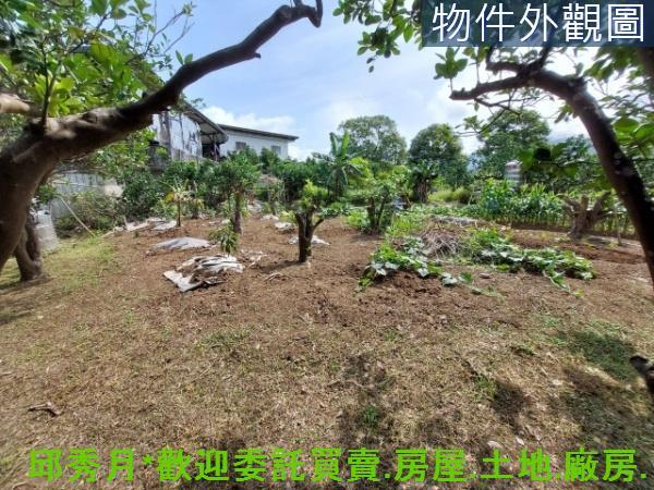 新北淡水二期二-5