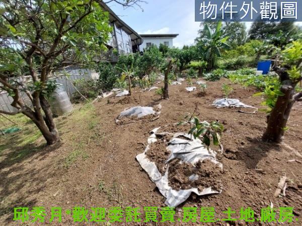 新北淡水二期二-6