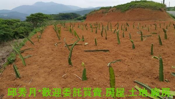 新北石門都市計畫內-3