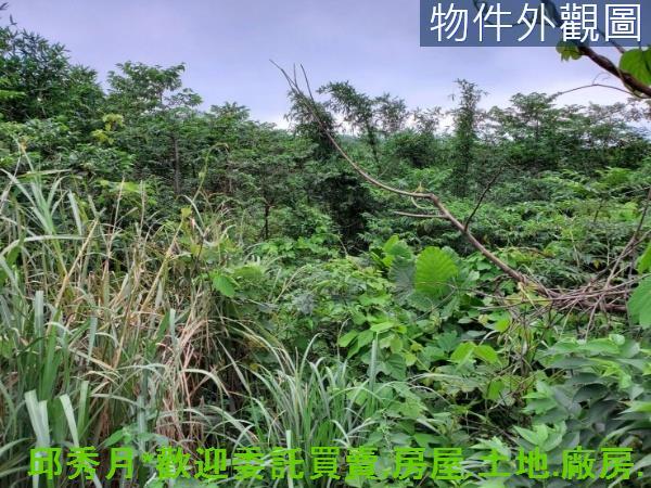 新北石門農地-3
