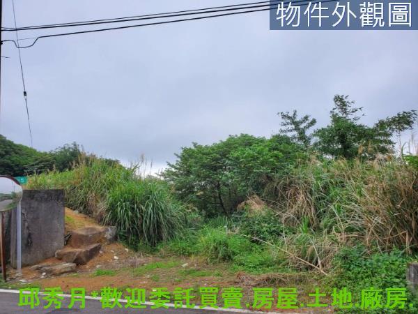 新北石門農地-4