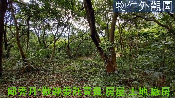 新北石門農地-3