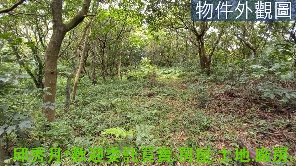 新北石門農地-4