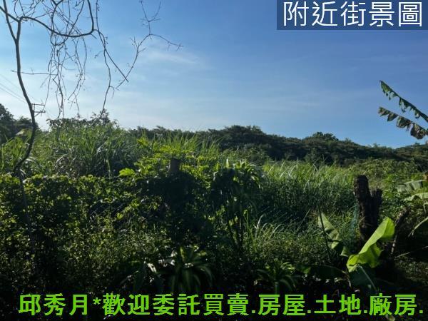 新北三芝農地-2