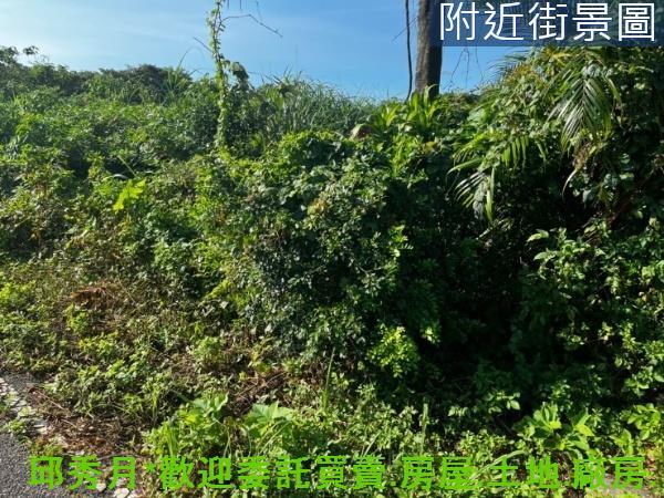 新北三芝農地-5