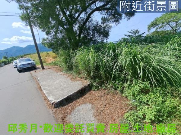 新北淡水農地-2