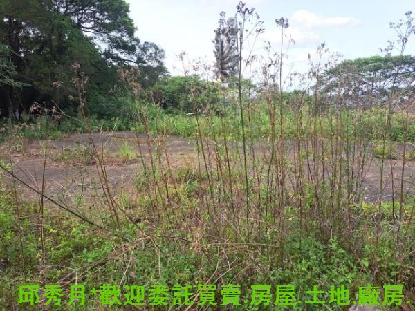 新北淡水農地-6